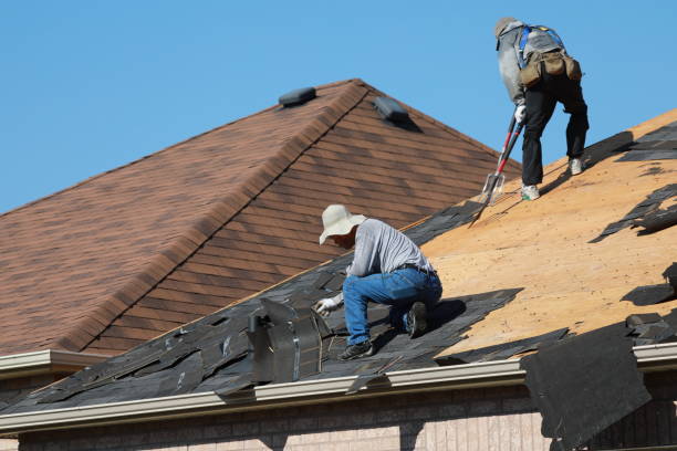 Best Asphalt Shingles Roofing  in Borrego Springs, CA